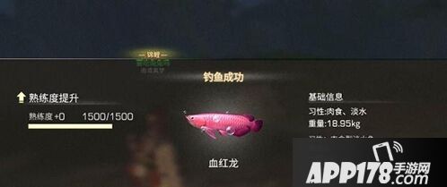明日之后血红龙在哪钓