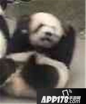 长安幻世绘春节逗年兽