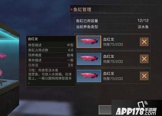 明日之后观赏鱼怎么养 观赏鱼饲养手册值得一阅