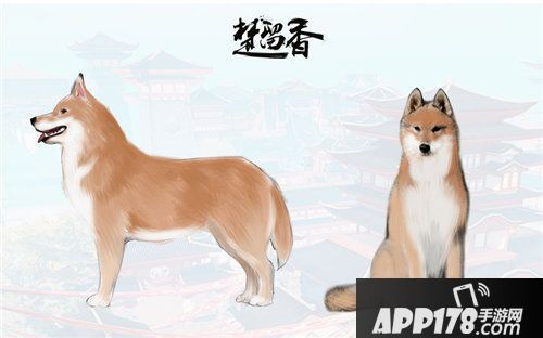 楚留香宠物系统首度曝光