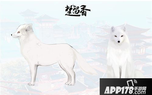 楚留香宠物系统首度曝光