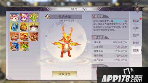 完美世界手游羽灵精灵怎么选择