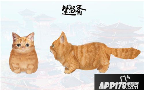 楚留香宠物系统首度曝光