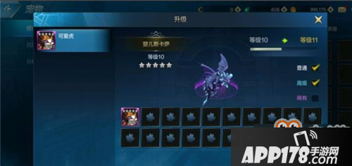 DNF手游宠物装备怎么获得？DNF手游宠物宠物装备怎么升级？