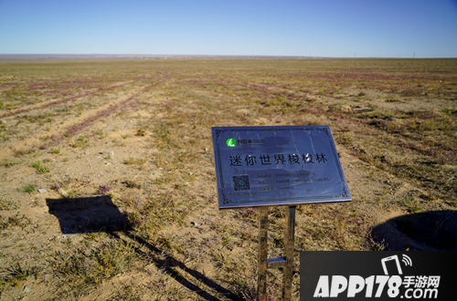 迷你世界三周年来袭 周年庆活动即将开启