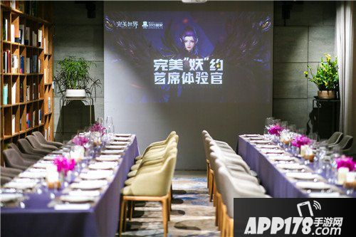 完美世界手游首席体验官