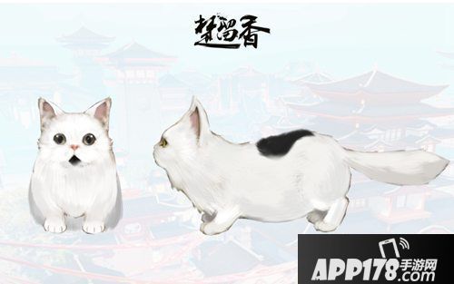 楚留香手游宠物系统爆料