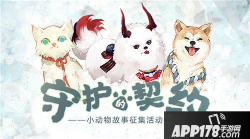  阴阳师守护的契约
