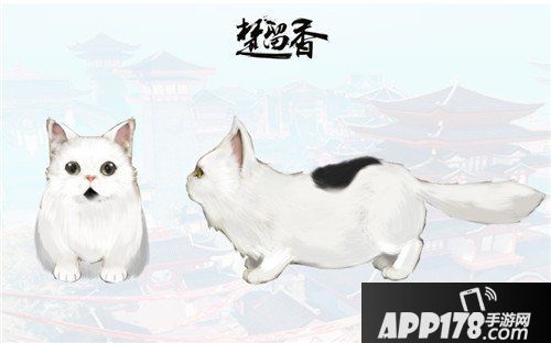 楚留香宠物系统爆料