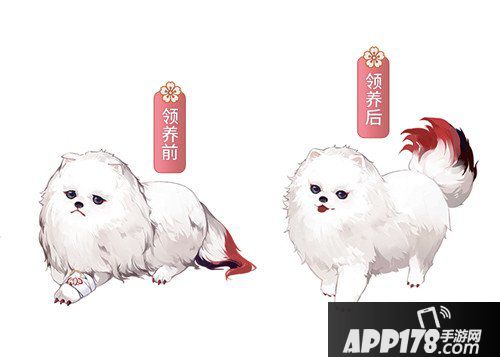 阴阳师小动物公益活动