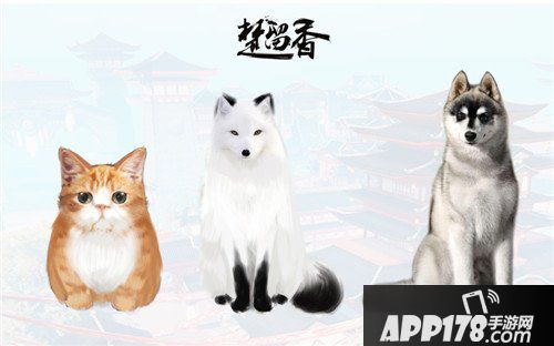 楚留香宠物系统爆料