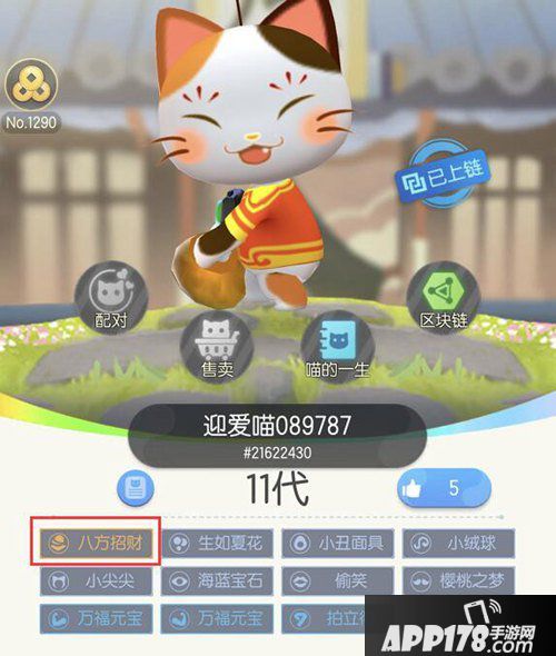 一起来捉妖套装猫全解析攻略 秒懂套装猫玩法心得