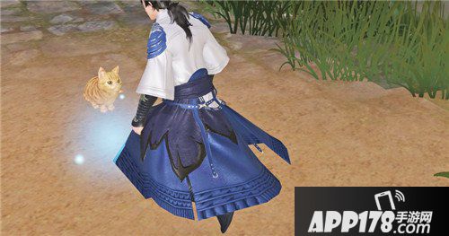 楚留香宠物系统爆料