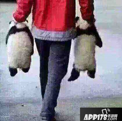 赤潮自走棋更新