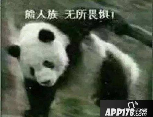 赤潮自走棋更新