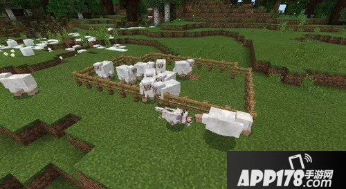 我的世界动物快速出栅栏方法