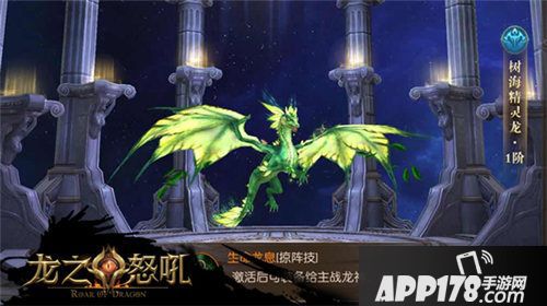 龙之怒吼五一长假尽享欢乐