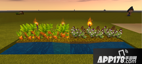 迷你世界高级植物推荐