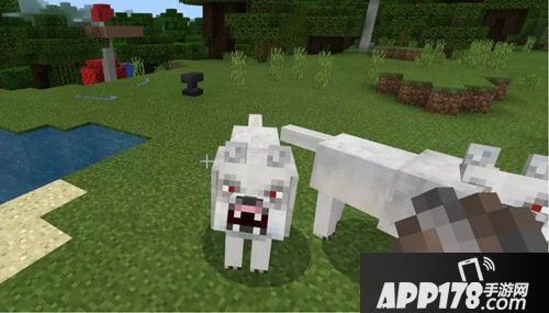 我的世界神奇动物生物盘点