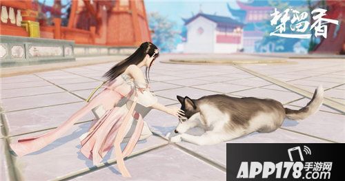 楚留香宠物系统激萌上线
