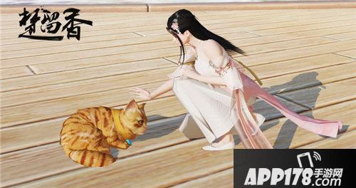 楚留香宠物系统激萌上线