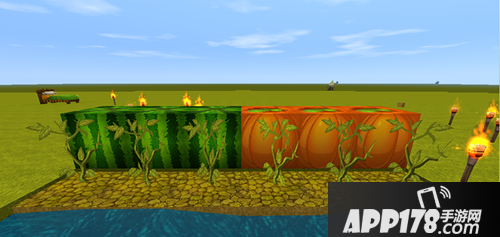 迷你世界高级植物推荐