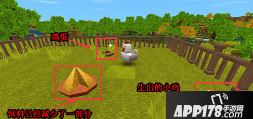 迷你世界快速收获鸡蛋羊毛技巧