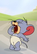 猫和老鼠手游泰菲