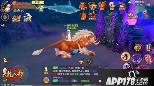 天龙八部手游神秘海域地图