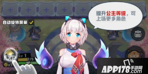 皇家骑士300自走棋场内公主升级