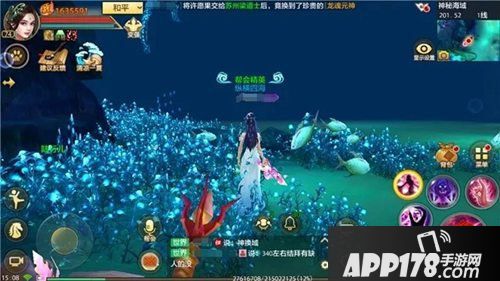 天龙八部手游神秘海域地图