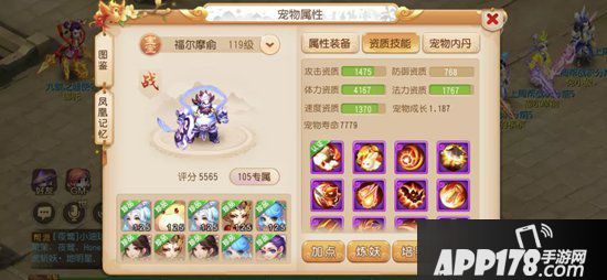 梦幻西游手游2019全民pk争霸赛总冠军装备宠物分享