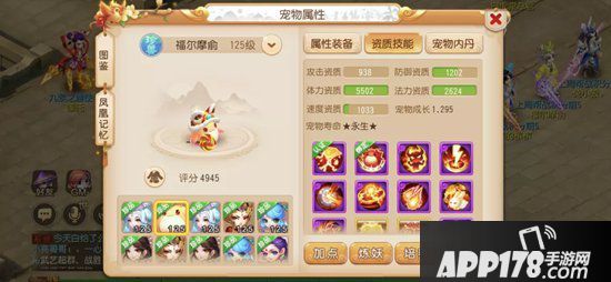 梦幻西游手游2019全民pk争霸赛总冠军装备宠物分享