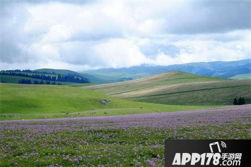 光明勇士梦幻双人游获奖名单公布