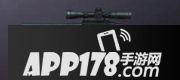 cf手游Ruger22Charger属性