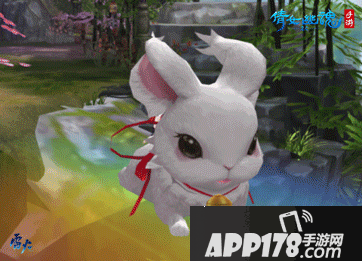 倩女幽魂手游9月更新前瞻 寻妖天团冒险再起航