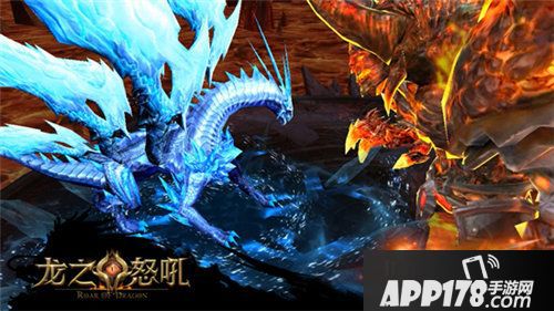 龙之怒吼圣盾系统揭晓