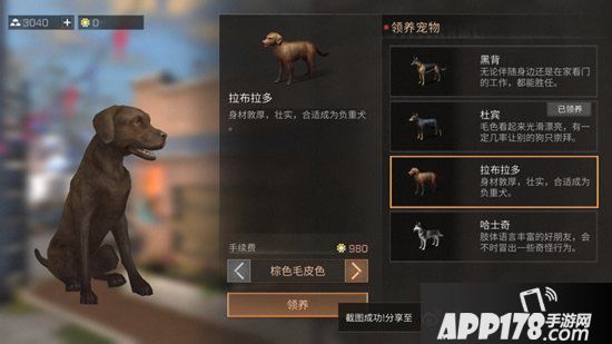 明日之后宠物性格养成攻略 宠物性格哪个好
