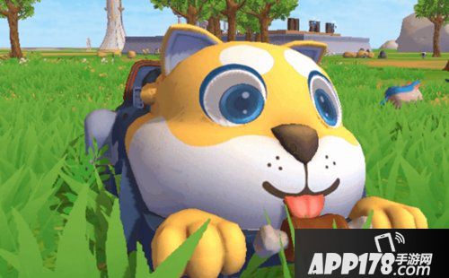 创造与魔法柴犬跑车一览 柴犬跑车什么样