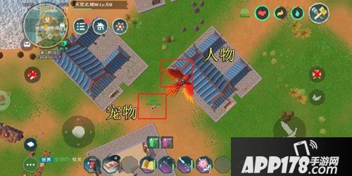 创造与魔法起飞宠物不消失教程 卡bug教程