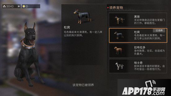 明日之后宠物性格养成攻略 宠物性格哪个好