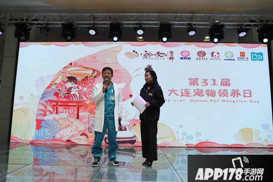 阴阳师医疗领养公益救助车开启治愈之旅 跨次元守护流浪动物