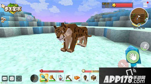 手工星球呆萌坐骑威风坐骑对比