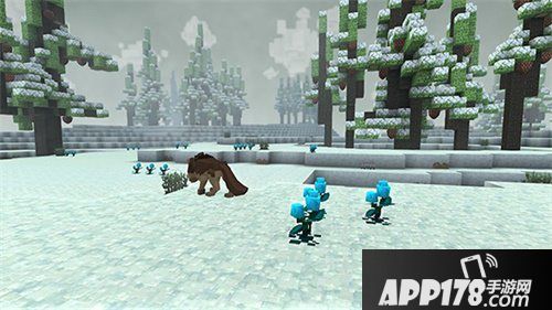 手工星球奇异植物细数