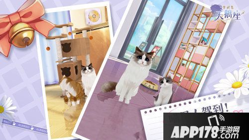 梦间集天鹅座1月9日公测即将开启