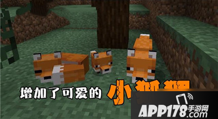 《我的世界》狐狸怎么样 狐狸作用攻略