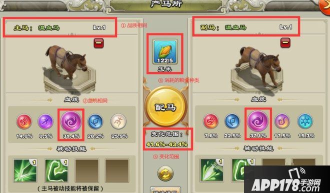 《王者争雄》名马怎么培养 名马培养流程攻略