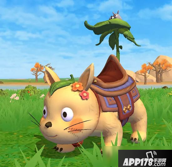 创造与魔法阳光龙猫坐骑怎么样 阳光龙猫坐骑爆料