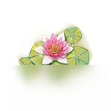 山海镜花芙华灵器怎么获得 芙华灵器获取攻略