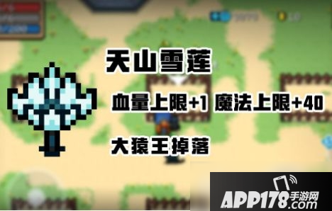 元气骑士天山雪莲有什么用 天山雪莲作用一览